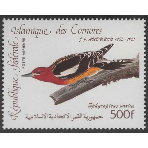 République Fédérale Islamique Des Comores, Timbre-Poste Aérienne Y & T N° 210, 1985 - Bicentenaire De La Naissance De Jean Jacques Audubon, Oiseau, Sphyropieus Varius