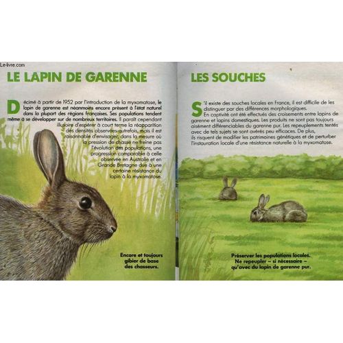 Le Petit Livre Vert N°5 Du Chasseur : Le Lapin De Garenne