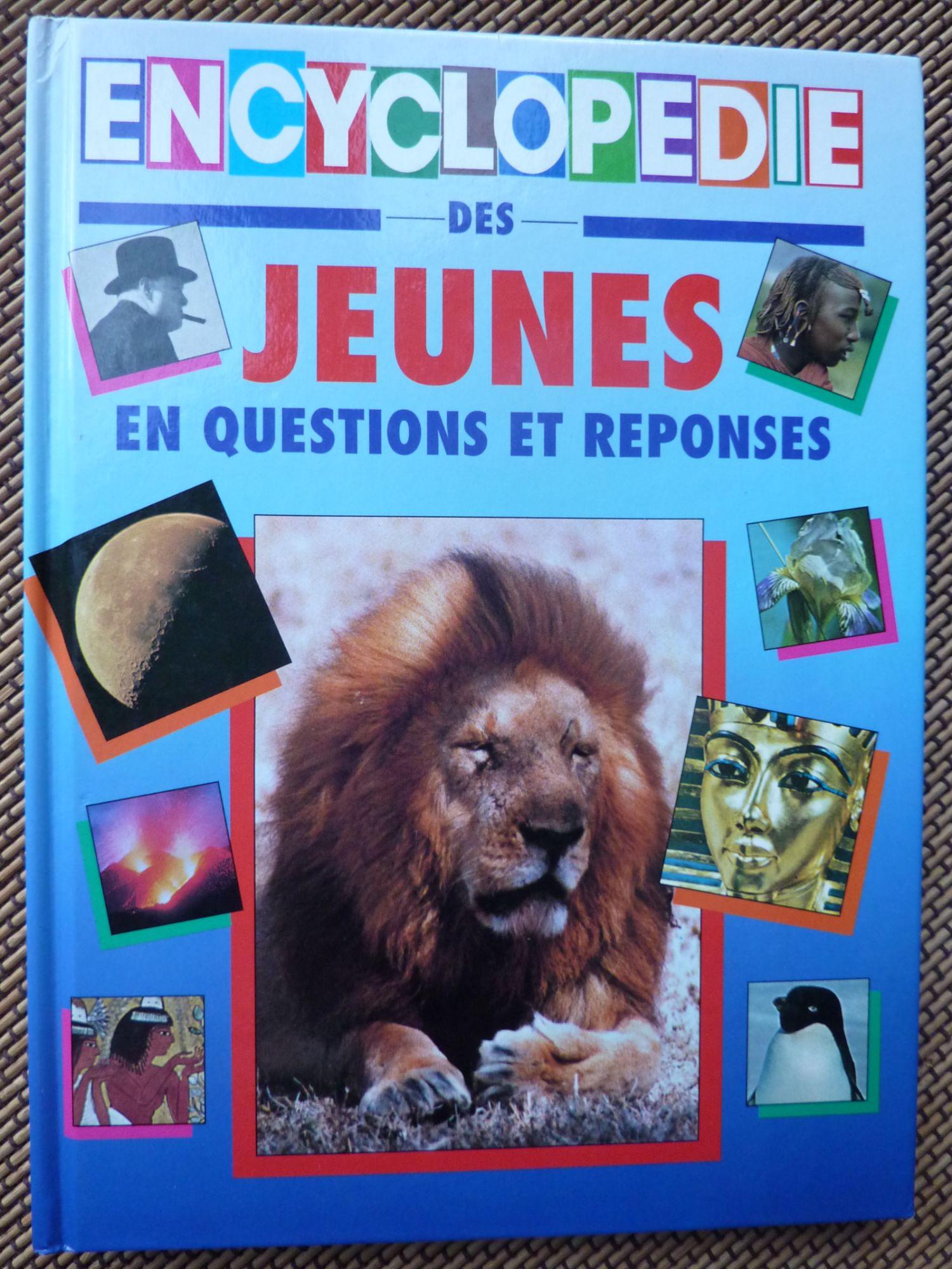 Encyclopedie Des Jeunes - En Questions Et Reponses