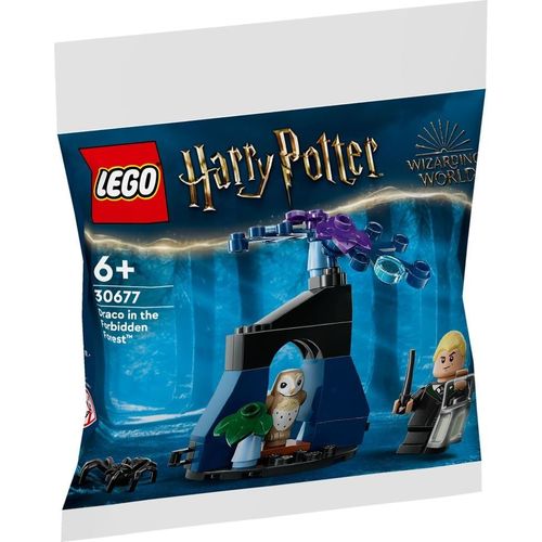 LEGO Harry Potter - Drago dans la Forêt interdite (Polybag) - 30677