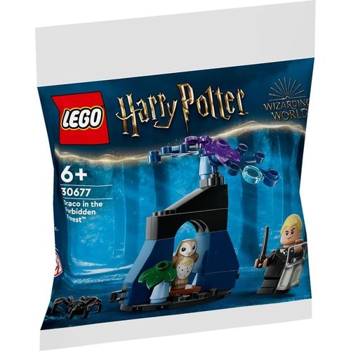 Lego Harry Potter - Drago Dans La Forêt Interdite (Polybag) - 30677