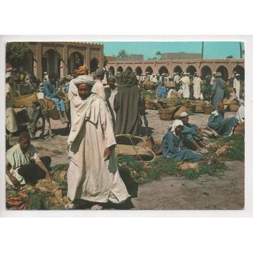 Rissani - Marché (Carte Postale, Maroc)