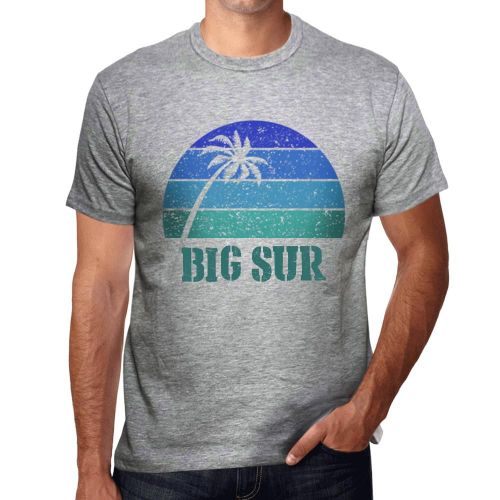 Homme Tee-Shirt Palmier Plage Coucher De Soleil À Big Sur - Palm, Beach, Sunset In Big Sur - T-Shirt Graphique Éco-Responsable Vintage Cadeau Nouveauté