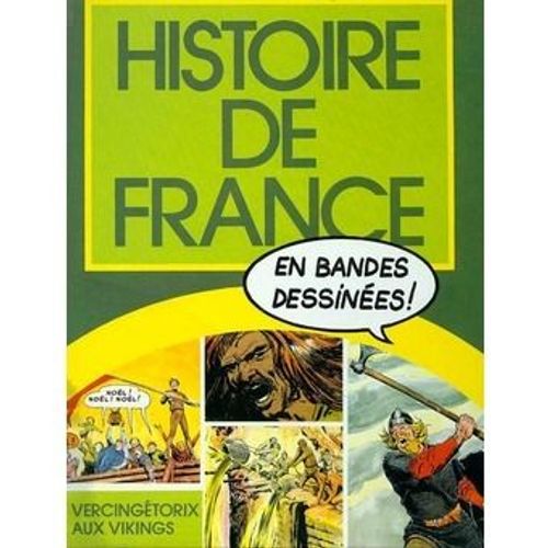 Histoire De France En Bandes Dessinées. De Vercingétorix Aux Vikings