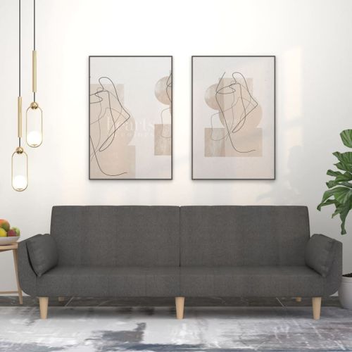Vidaxl Canapé-Lit À 2 Places Avec Deux Oreillers Gris Foncé Tissu