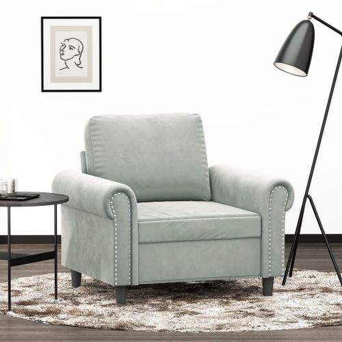 Vidaxl Fauteuil Gris Clair 60 Cm Velours