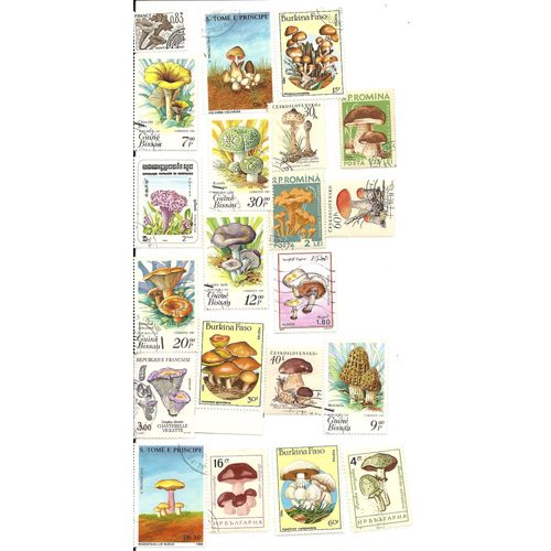 Champignons 21 Timbres Différents De 9 Pays