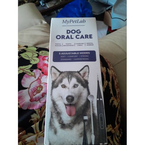 Kit Dentaire Pour Chien Neuf