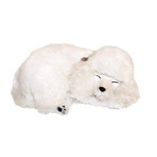 Perfect Petzzz - 65414 - Peluche Interactive - Chien - Caniche - Animal Qui  Respire Pour De Vrai - 25 Cm