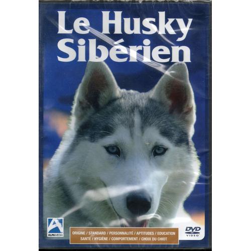 Le Husky Sibérien