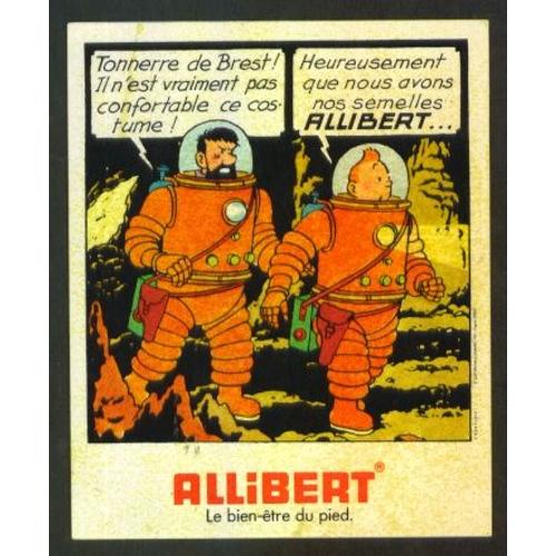 Tintin Et Capitaine Haddock Cosmonautes - Autocollant Allibert 1981.