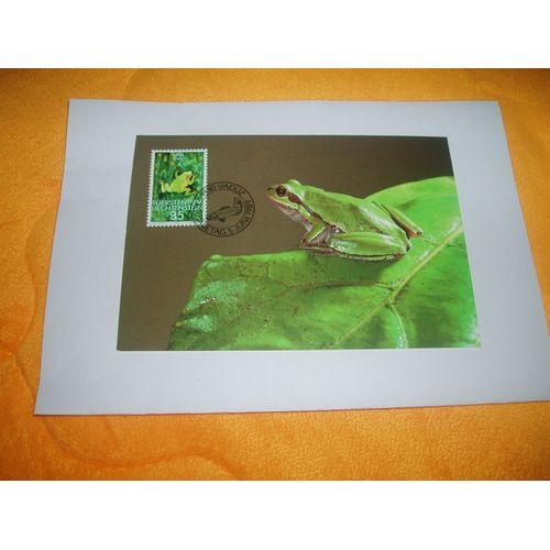 Carte Postale Maximum  Rainette  / Liechtenstein / + Timbre Annee 1989