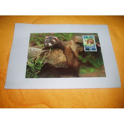 Carte Postale Maximum  Putois  / Liechtenstein / + Timbre Annee 1989