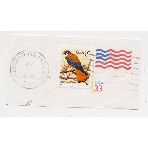 Timbre U S A, American Kestrel, 1 Cent, Oblitéré