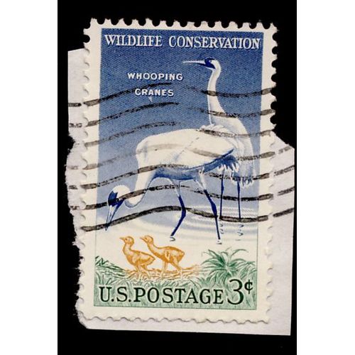 Timbre U S A, Wildlife Conservation, Shooping Cranes, 3 Cents Us Postage, Oblitéré
