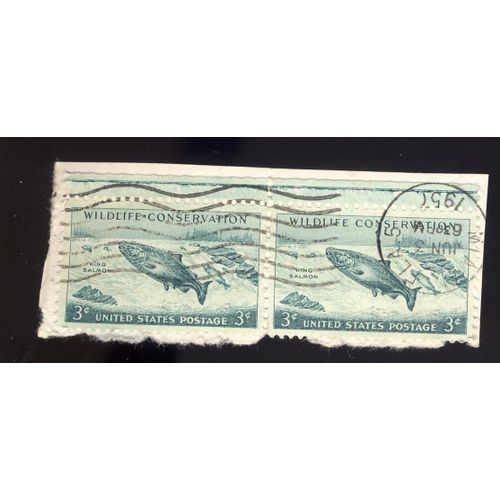 Timbre U S A, Wildlife Conservation, King Salmon, 3 Cents, Oblitéré En 1950