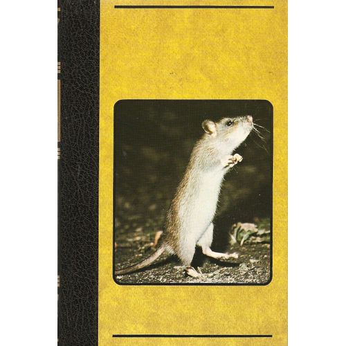 Histoires D'animaux  - Tome 4