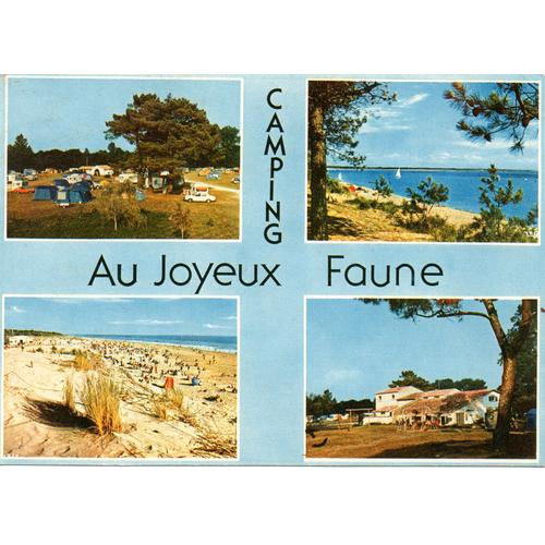 17 La Palmyre - Les Mathes - Camping "Au Joyeux Faune"