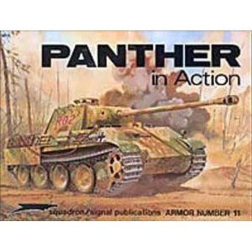 Panther In Action