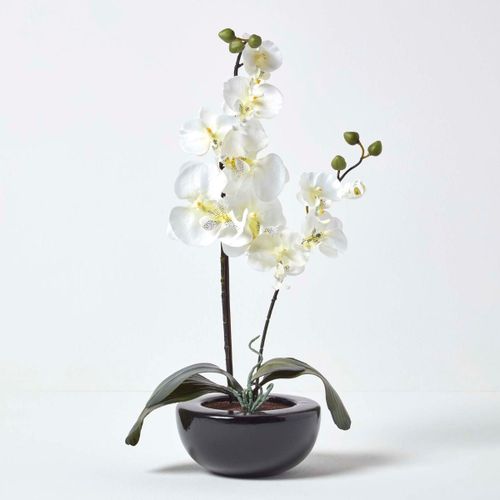 Orchidée Artificielle Crème Pot Céramique Hauteur 54 cm