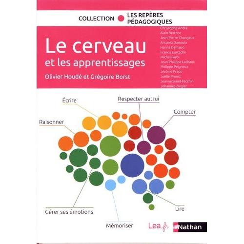 Le Cerveau Et Les Apprentissages