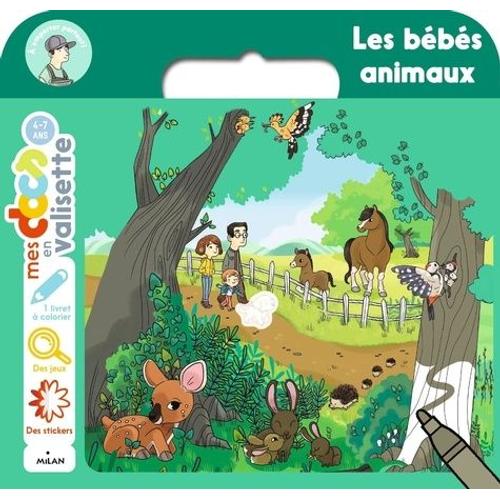 Les Bébés Animaux - Avec 1 Livret De Coloriage, 4 Grandes Images Avec Stickers, Des Jeux D'observation