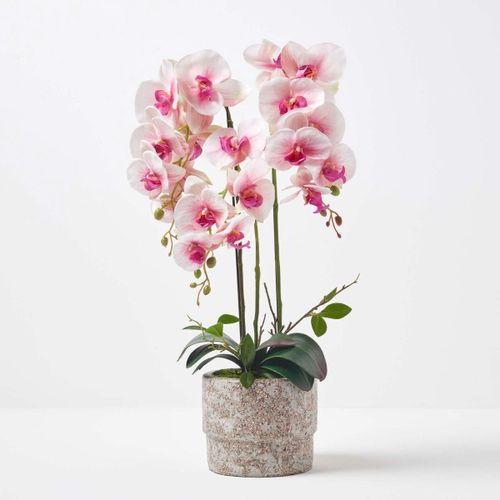Orchidée artificielle rose en pot en ciment naturel 64 cm