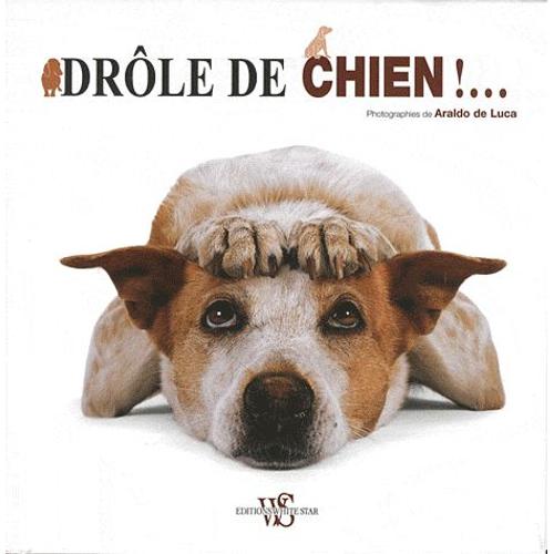 Drôle De Chien !...