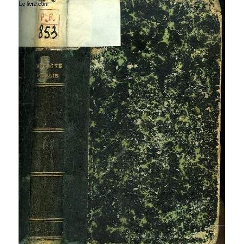 Journal De La Campagne D'italie - 1859
