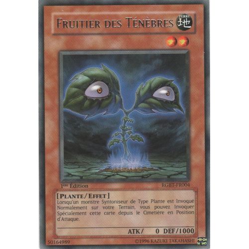 Carte Yu-Gi-Oh! "Fruitier Des Ténèbres" Rare Rgbt-Fr004