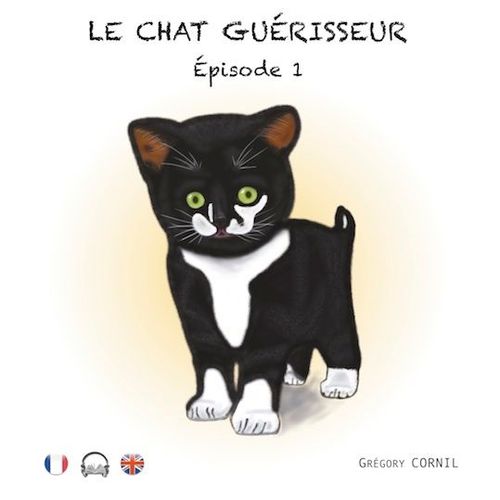 Le Chat Guérisseur