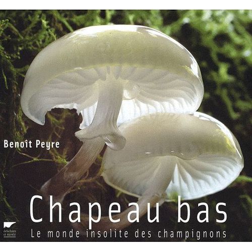 Chapeau Bas - Le Monde Insolite Des Champignons