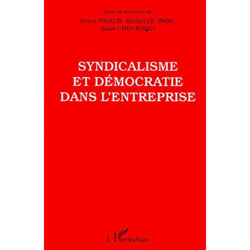 Syndicalisme Et Démocratie Dans L'entreprise - Une Coopération Scientifique Cfdt-Cnrs, 1984-1995