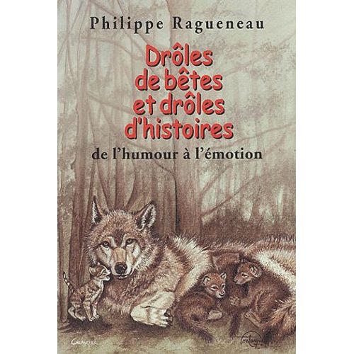 Mes 50 Meilleures Recettes Cosmétiques Aux Plantes Et Aux Huiles Essentielles
