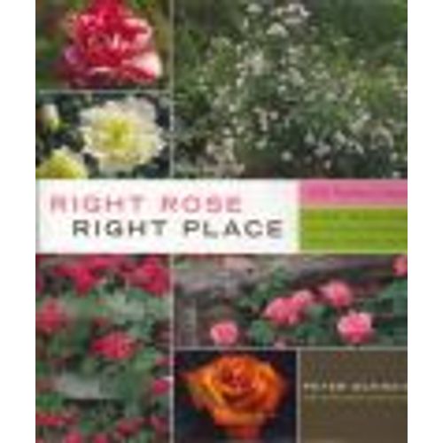 Right Rose Right Place