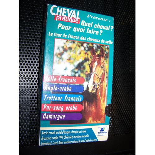 Cheval Pratique " Quel Cheval ? Pour Quoi Faire ? "Le Tour De France Des Chevaux De Selle
