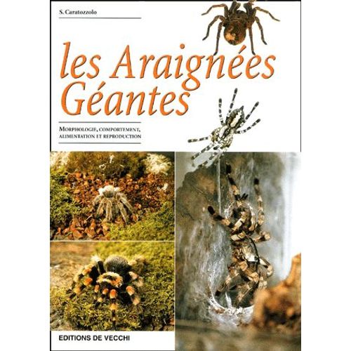 Les Araignées Géantes