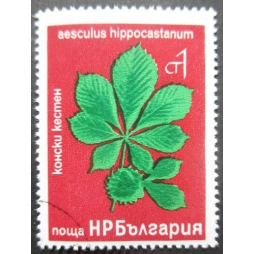 Bulgarie N°2246 Oblitéré