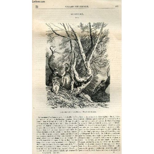 Le Magasin Pittoresque - Livraison N°032 - Le Caroubier (Nice).