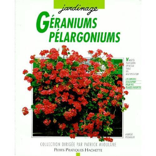 Géraniums Et Pélargoniums - Pour Qu'ils Donnent Le Meilleur De Leur Floraison