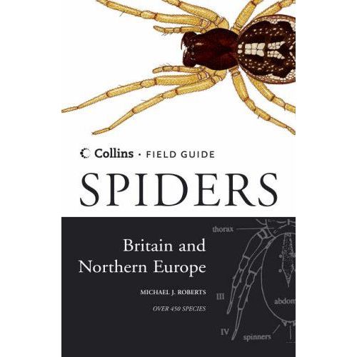 Spiders Of Britain And Northern Europe