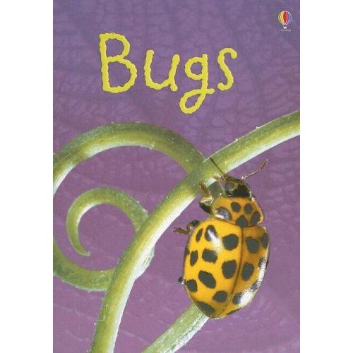 Bugs: Level 1