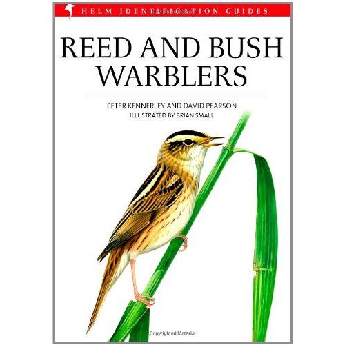 Reed And Bush Warblers