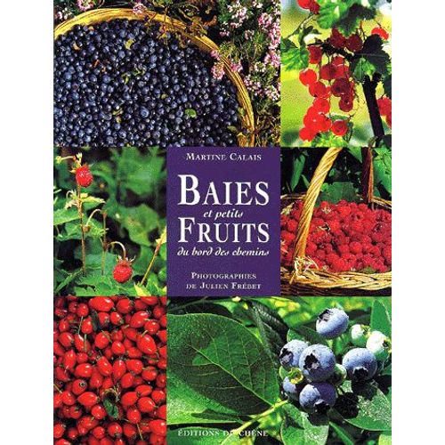 Baies Et Petits Fruits Du Bord Des Chemins