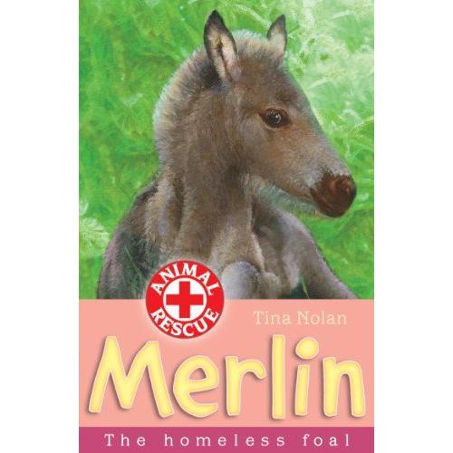 Merlin: The Homeless Foal