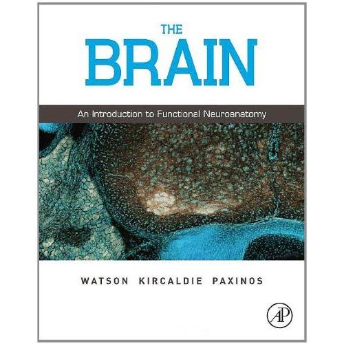 The Brain