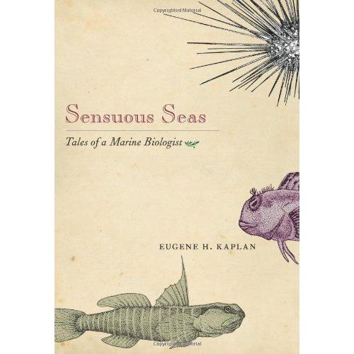 Sensuous Seas