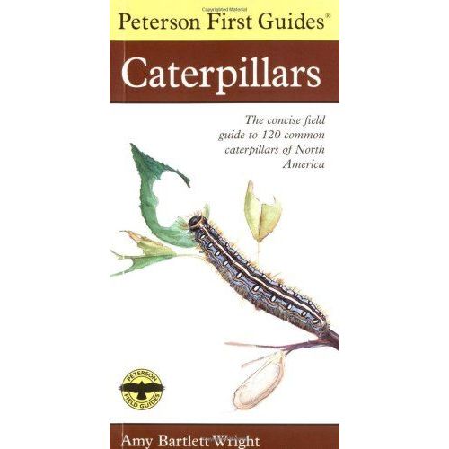 Peterson First Guide To Caterpillars Of North America