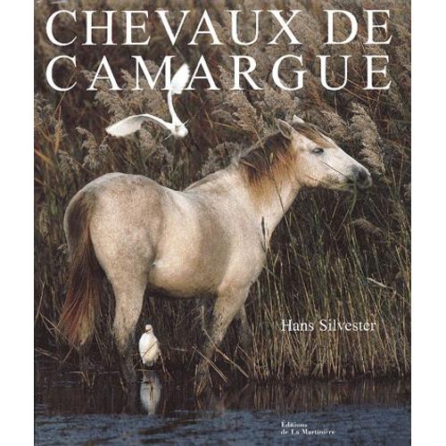 Chevaux De Camargue