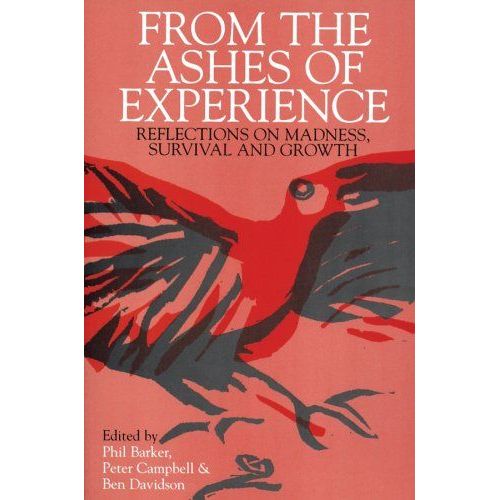 From The Ashes Of Experience